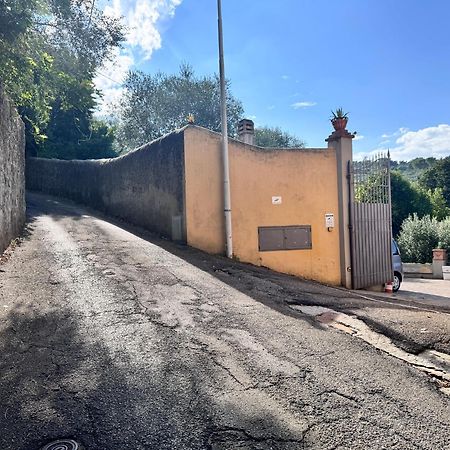 Vila Villino Dragonfly Lastra a Signa Exteriér fotografie