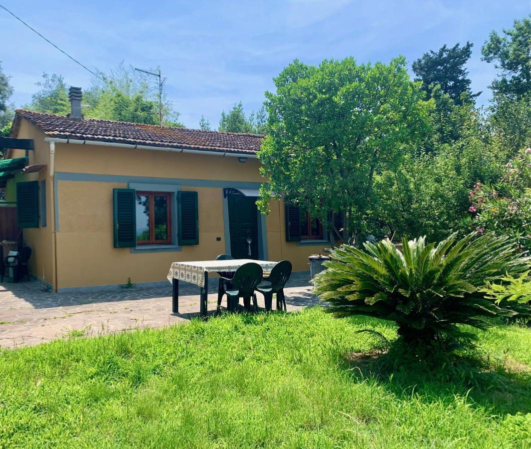 Vila Villino Dragonfly Lastra a Signa Exteriér fotografie